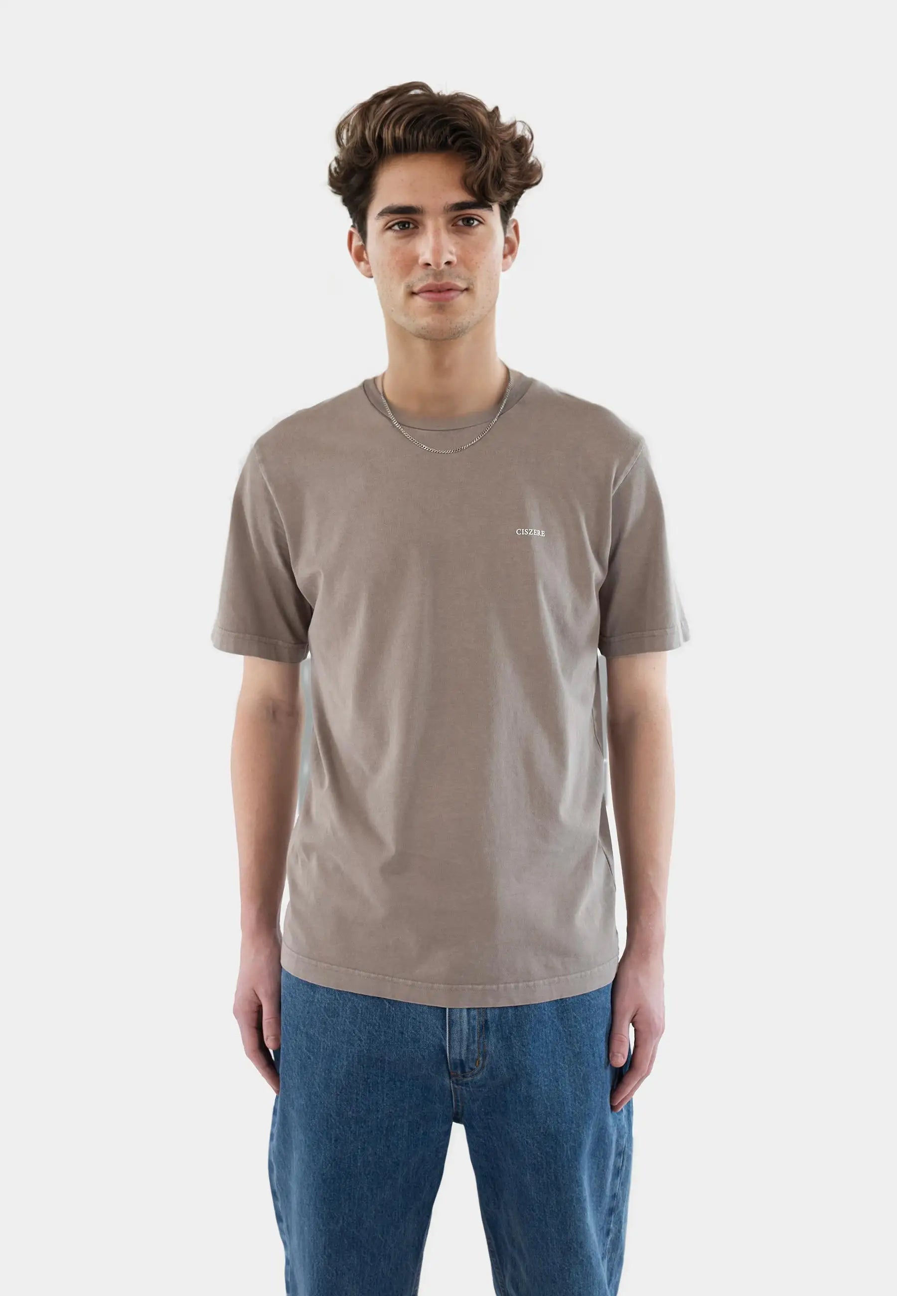 Tyler washed t-shirt - Satelite grey
