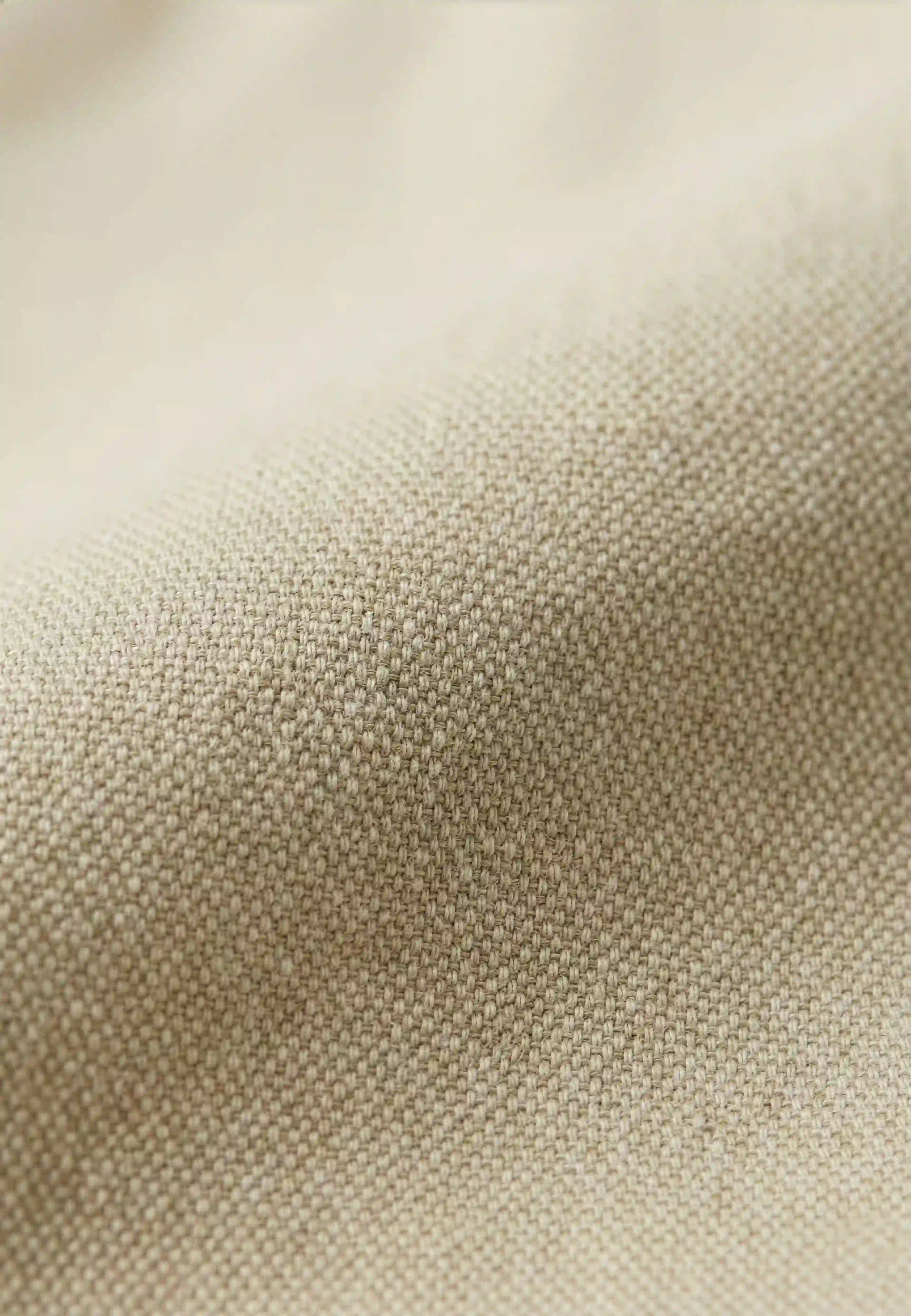 Land suit shorts - Beige